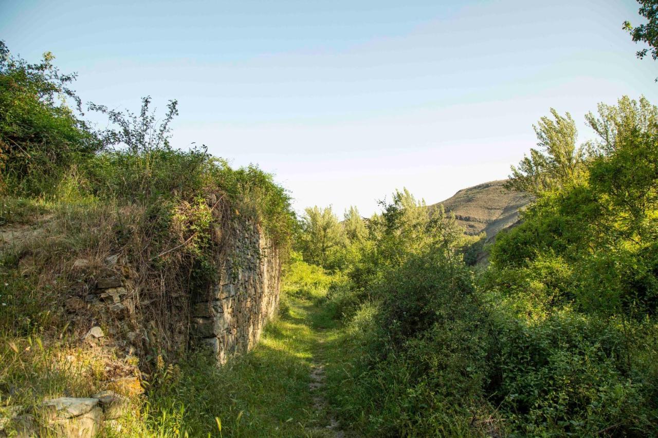 Penzion Casa Rural El Huerto De La Fragua Enciso Exteriér fotografie