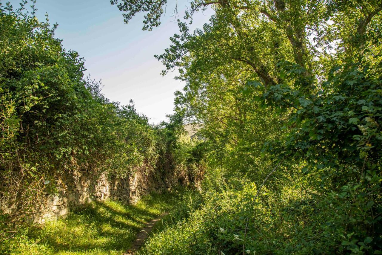 Penzion Casa Rural El Huerto De La Fragua Enciso Exteriér fotografie