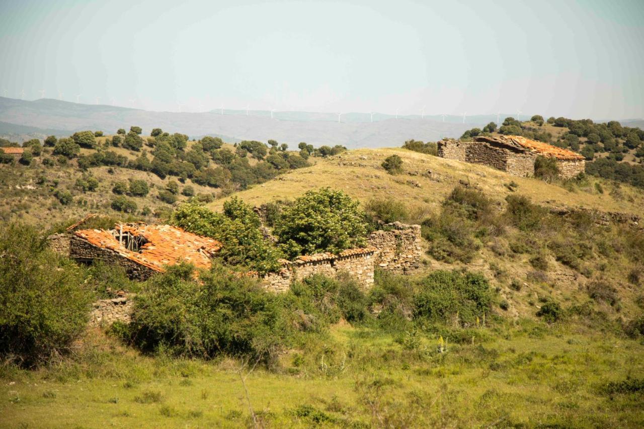 Penzion Casa Rural El Huerto De La Fragua Enciso Exteriér fotografie